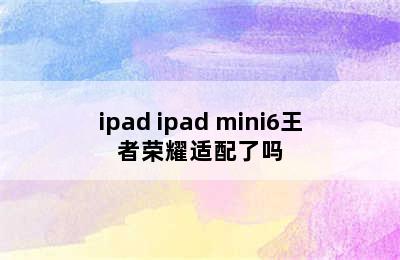 ipad ipad mini6王者荣耀适配了吗